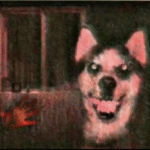 Smile Dog
